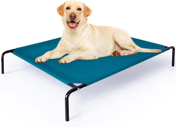 Pet Clean Elevated Dog Bed Large for Pets, Scratch-Resistant, Waterproof Breathable Dog Bed XL for Large Dogs with Durable Frame (Teal)