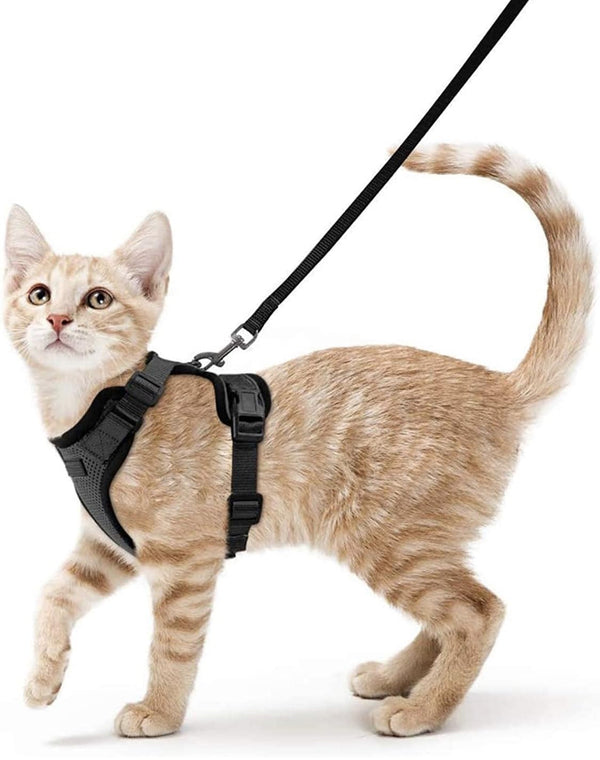 Hcpet Cat Harness and Leash for Walking, Escape Proof Soft Adjustable Vest Harnesses for Cats, Easy Control Breathable Reflective Strips Jacket, Black