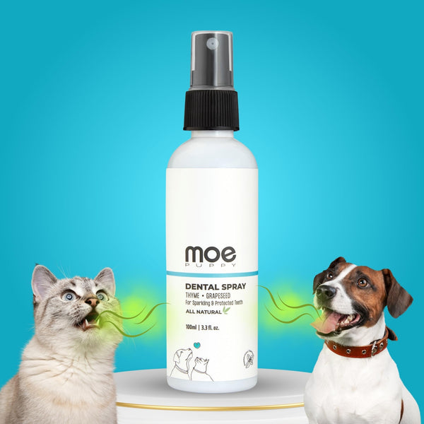 Moe Dental Spray for Dogs and Cats - Oral Spray for Dog Controls Plaque & Tartar, Freshens Breath | Aloe Vera, Grapeseed, Thyme | Dog Dental Care (100 ML)