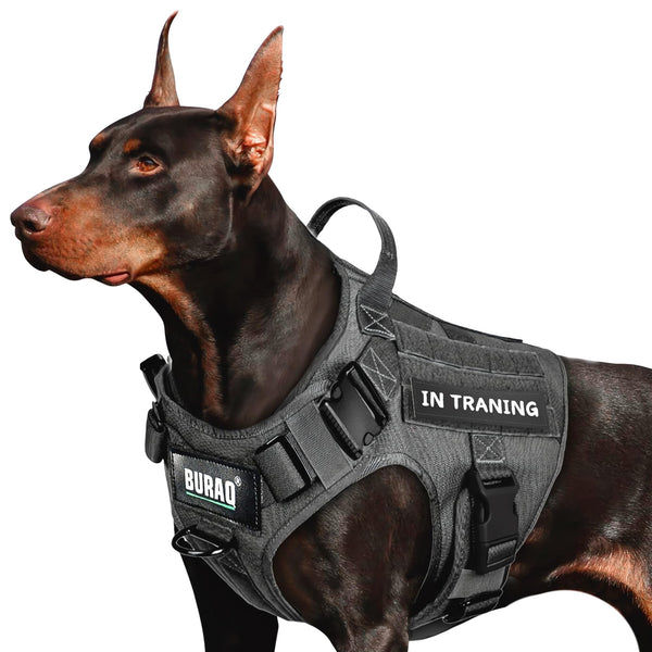 Buraq No Pull Tactical Dog Harness for Large Dogs, Heavy Duty, Adjustable Pet Harness with Handle for Easy Control, Dog Vest for Walking, Training, Hiking (M - Black)