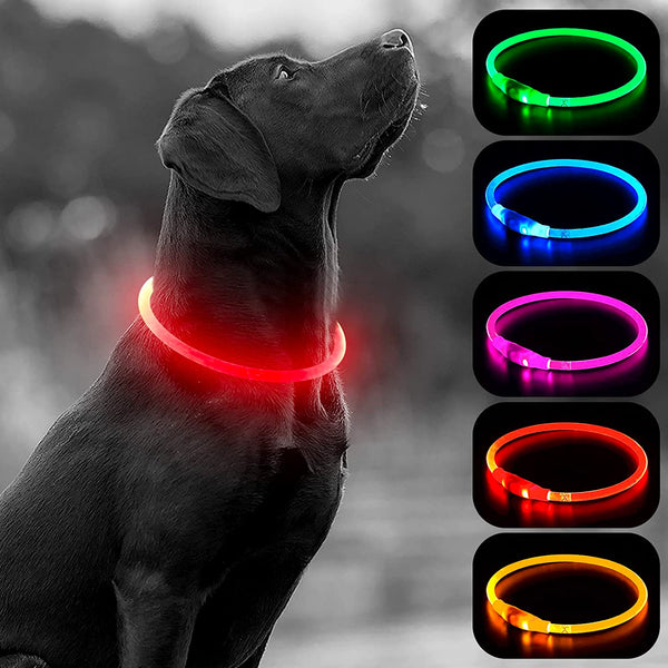 Super Bright Fashion LED Dog Glowing Collar